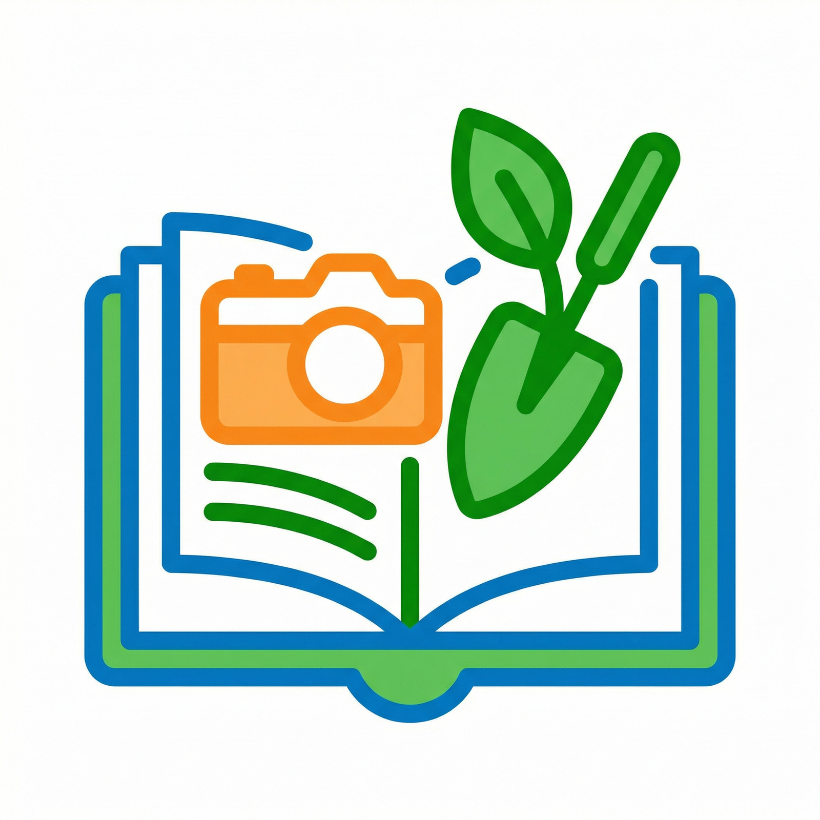 Хобби и досуг